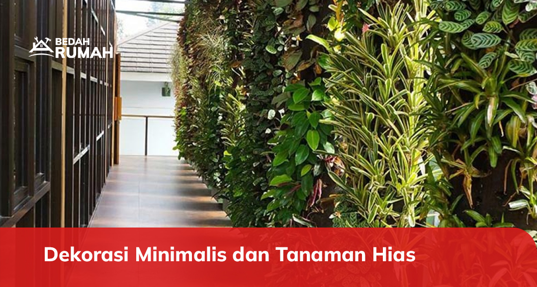 Dekorasi Minimalis dan Tanaman Hias