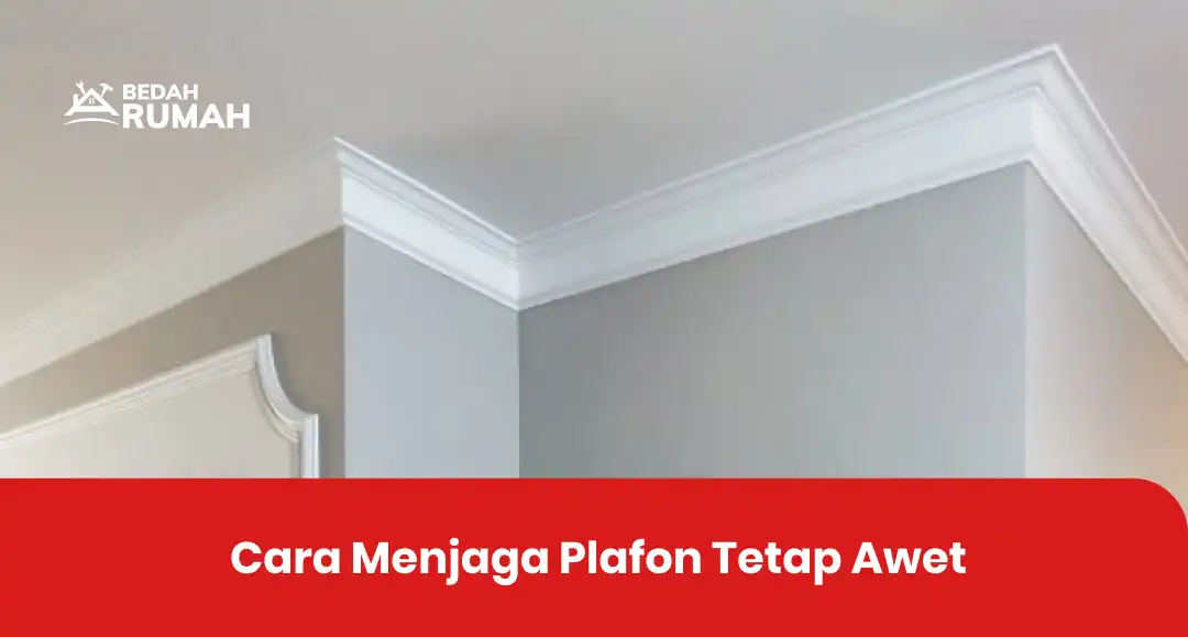 Cara Menjaga Plafon Tetap Awet