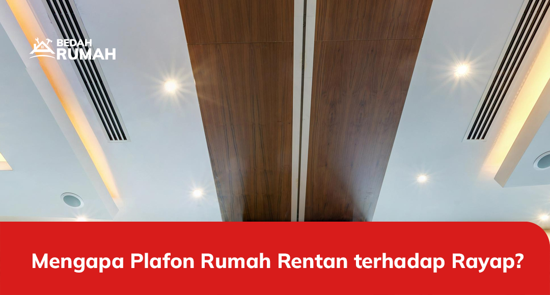 Mengapa Plafon Rumah Rentan terhadap Rayap?