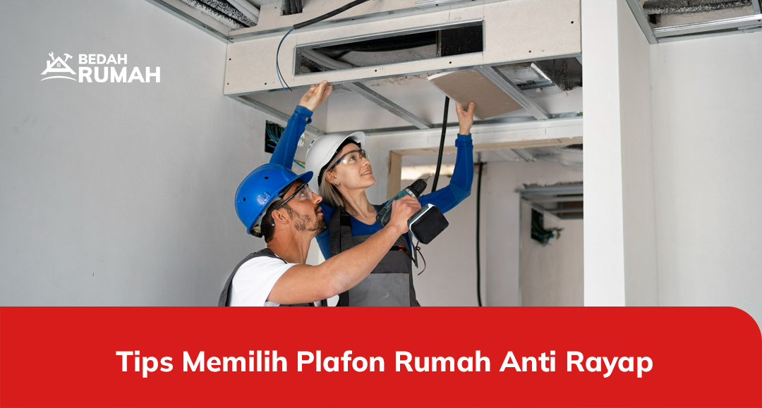 Tips Memilih Plafon Rumah Anti Rayap