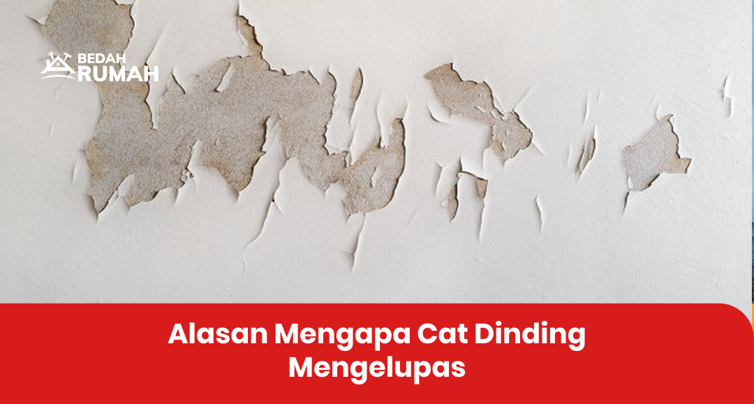 Alasan Mengapa Cat Cepat Mengelupas