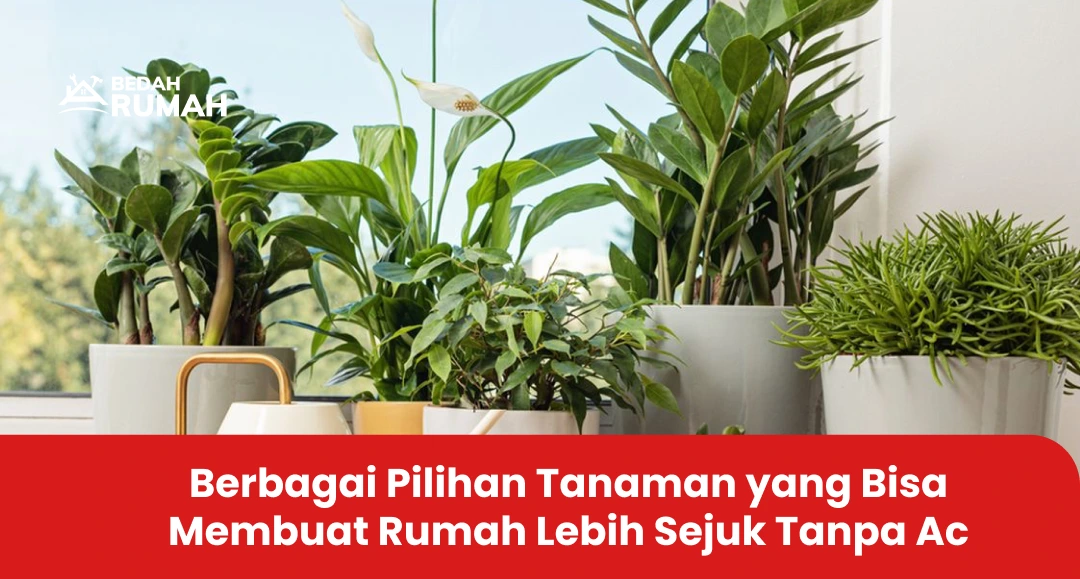 Berbagai Pilihan Tanaman yang Bisa Membuat Rumah Lebih Sejuk Tanpa Ac