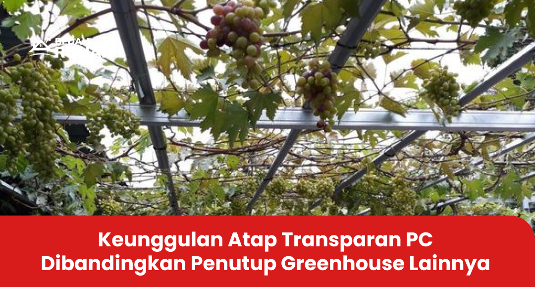 Keunggulan Atap Transparan PC Dibandingkan Penutup Greenhouse Lainnya