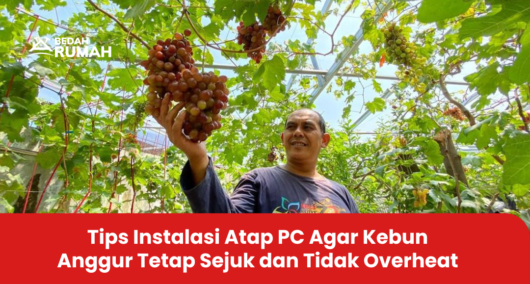Tips Instalasi Atap PC Agar Kebun Anggur Tetap Sejuk dan Tidak Overheat
