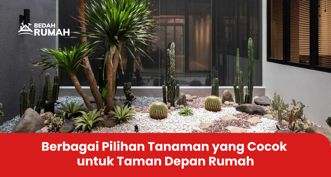 Berbagai Pilihan Tanaman yang Cocok untuk Taman Depan Rumah