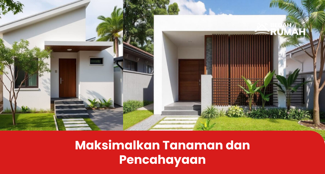 Maksimalkan Tanaman dan Pencahayaan